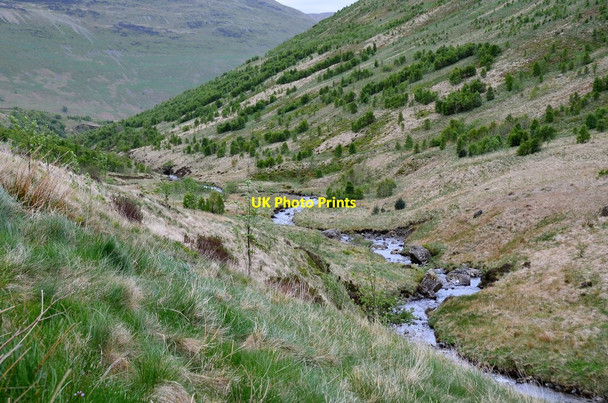 Photo 6"x4" The Carrifran Burn Capplegill c2016