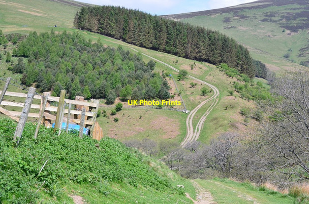 Photo 6"x4" Tracks on Kill Brae Holylee c2016