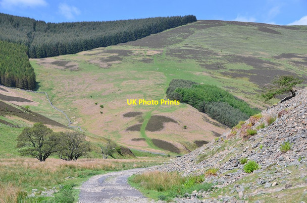 Photo 6"x4" Track below Kill Brae (2) Walkerburn c2016