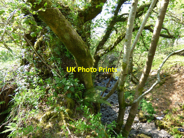 Photo 6"x4" Duchal Castle (remains) Kilmacolm c2016