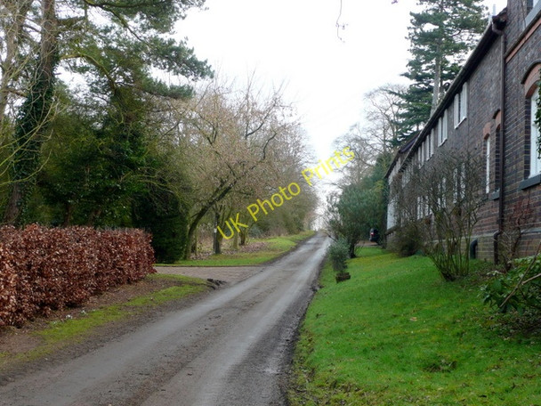 Photo 6"x4" Brownheath Road Brownheath Common c2009