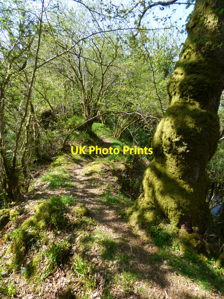Photo 6"x4" Duchal Castle (remains) Kilmacolm c2016