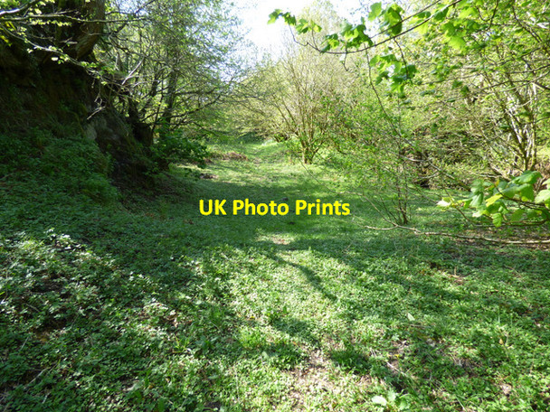 Photo 6"x4" Duchal Castle (remains) Kilmacolm c2016 P5