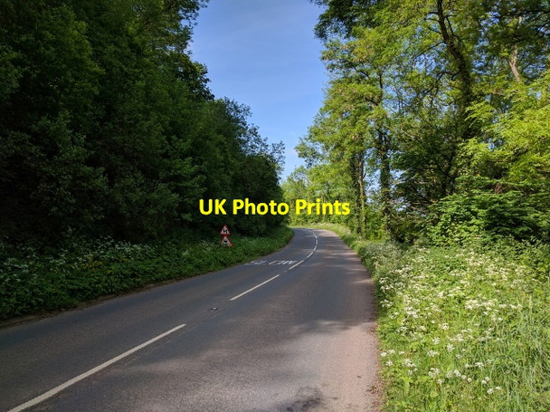 Photo 6"x4" A3072, next to Polecleaves Wood, looking west Cadeleigh c2016