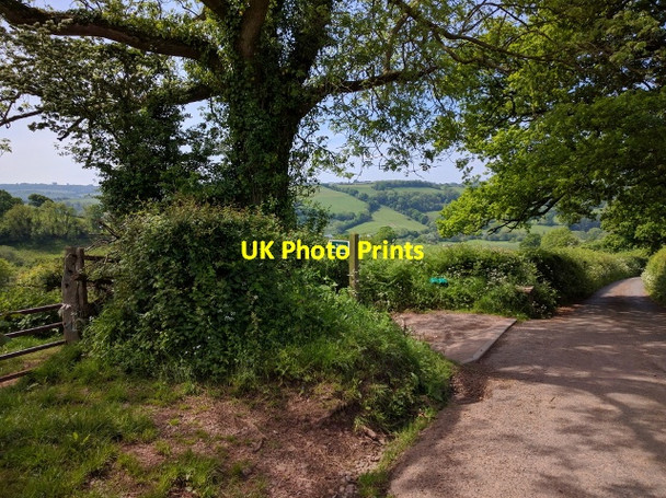 Photo 6"x4" Public footpath leaving the lane to the left Little Silver\/SS9109 c2016