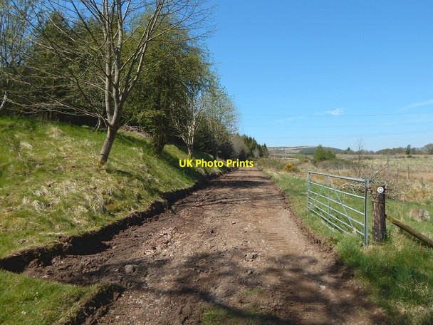 Photo 6"x4" Track beside Auldmurroch Farm Blanefield\/NS5579 c2016