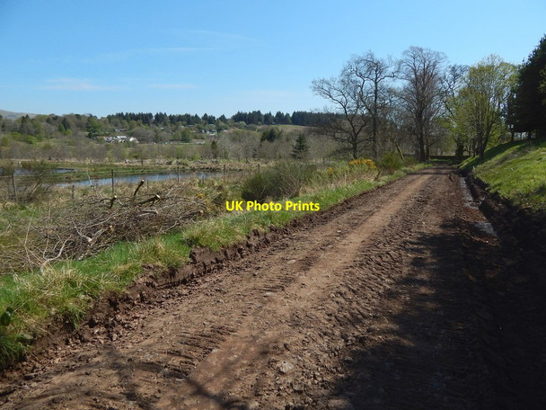Photo 6"x4" Track beside Carbeth Fishery Blanefield\/NS5579 c2016