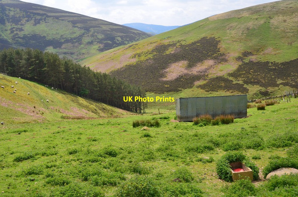 Photo 6"x4" In White Cleuch, Seat Hope Maiden Law\/NT3941 c2016