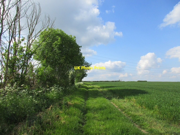 Photo 6"x4" Footpath to Bingham Bingham\/SK7039 c2016