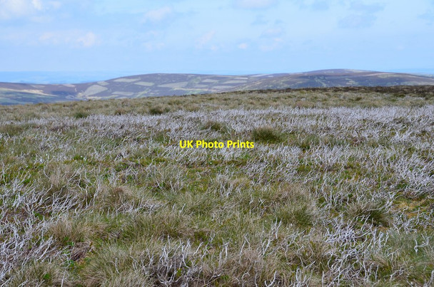 Photo 6"x4" The flat summit of Seathope Law Holylee c2016