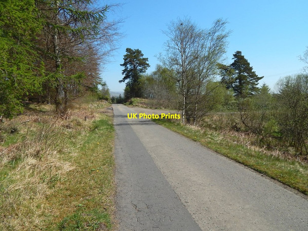 Photo 6"x4" Track junction Auchineden Fm c2016 P1