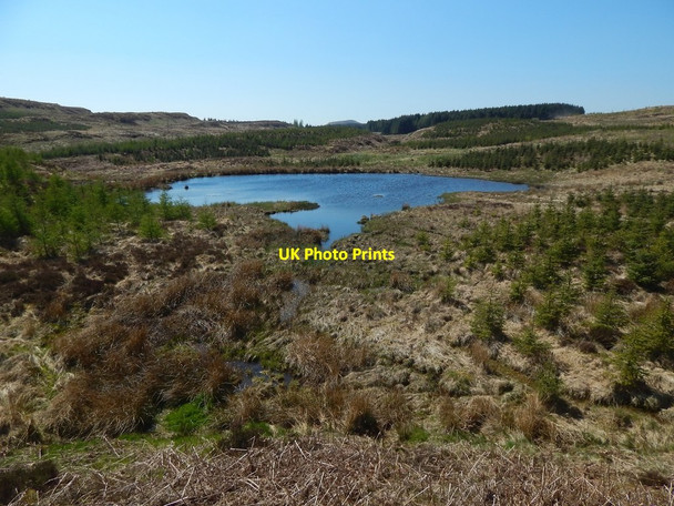 Photo 6"x4" Lochan near Burncrooks Filter Station Whangi c2016
