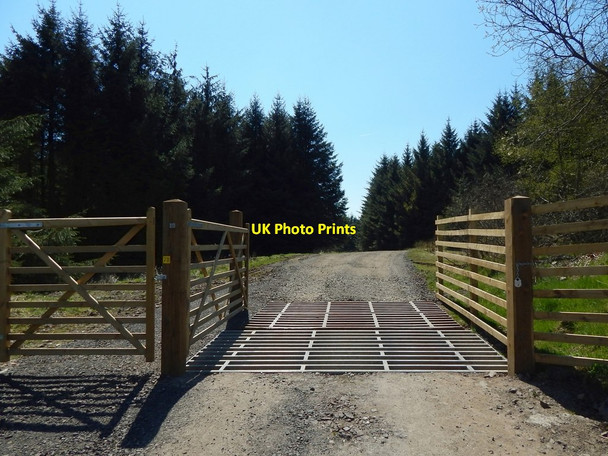Photo 6"x4" Gate on the John Muir Way Whangi c2016