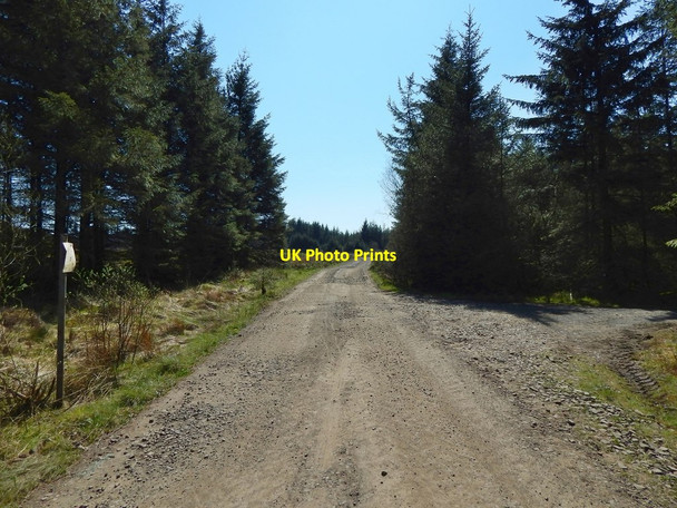Photo 6"x4" Track junction Whangi c2016