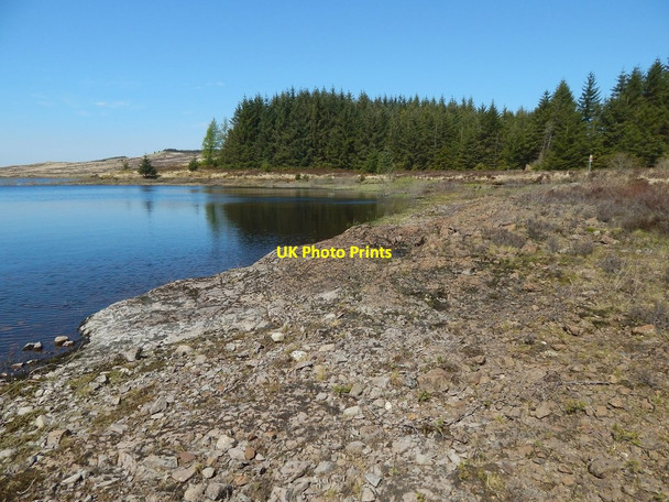 Photo 6"x4" The shore of Burncrooks Reservoir Whangi c2016