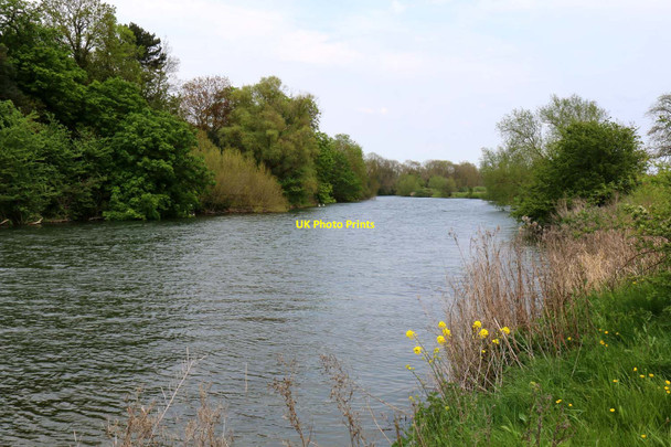 Photo 6"x4" The River Thames by Clifton Hampden Clifton Hampden c2016