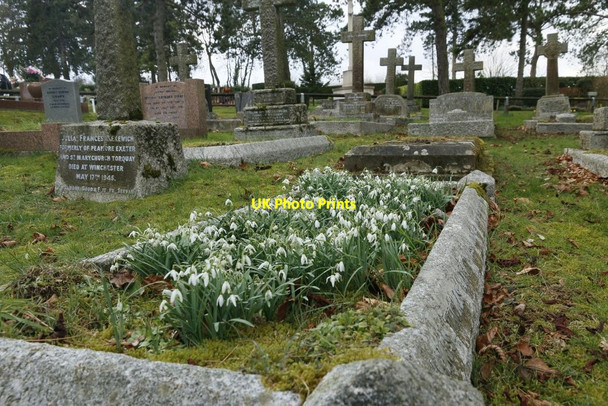 Photo 6"x4" Snowdrops on the Grave No Man's Land\/SU5029 c2016
