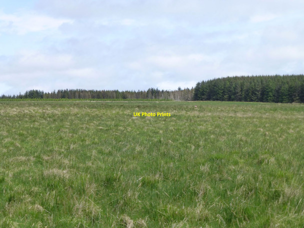 Photo 6"x4" Harwood House Plantation Dyke Head\/NZ0291 c2016