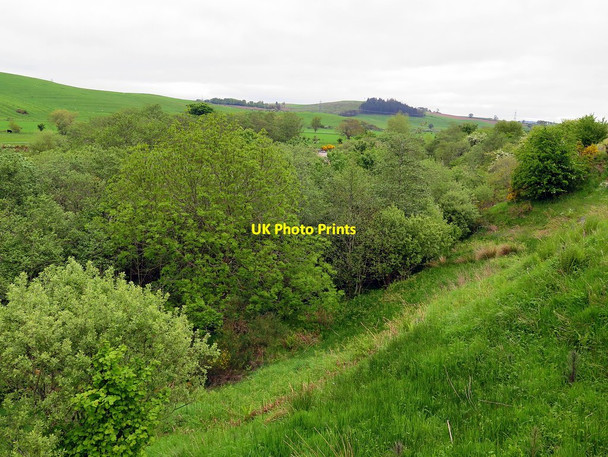 Photo 6"x4" Wooded valley of River Breamish Branton\/NU0416 c2016