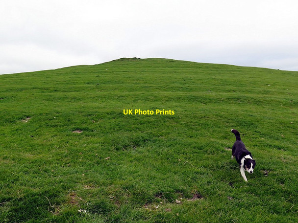 Photo 6"x4" East Hill Branton\/NU0416 c2016