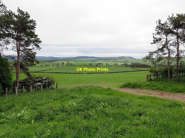 Photo 6"x4" Farmland near Clinch Fawdon\/NU0315 c2016