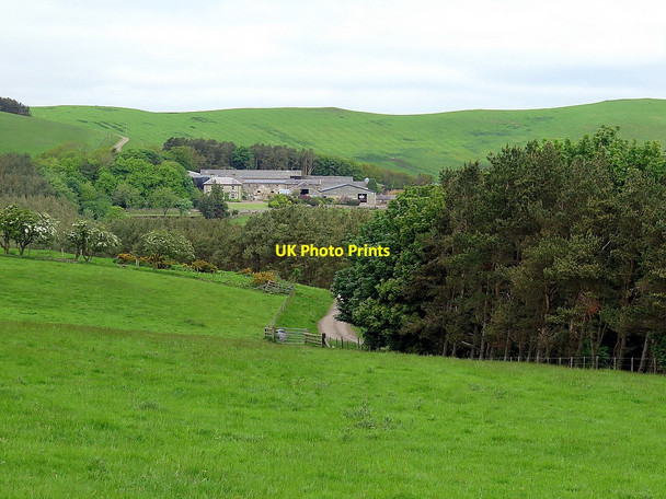 Photo 6"x4" Fawdon from the south Fawdon\/NU0315 c2016