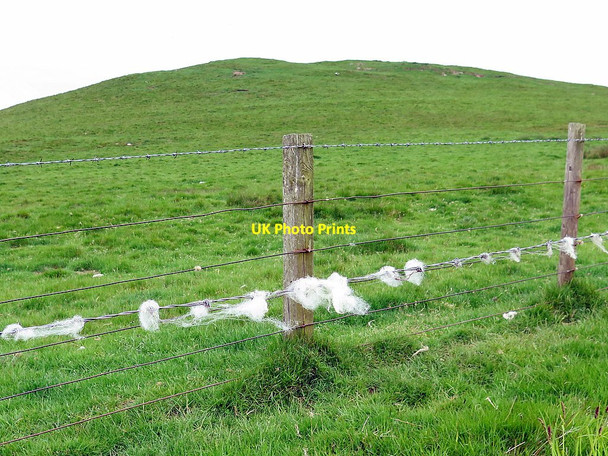 Photo 6"x4" Castle Knowe from south Fawdon\/NU0315 c2016