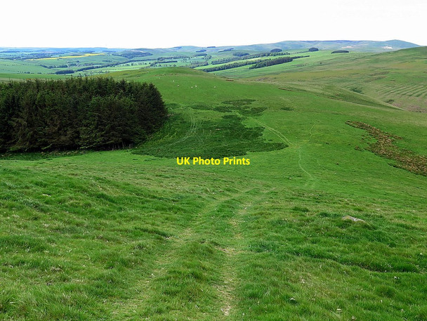 Photo 6"x4" Ridge west of Old Fawdon Hill Fawdon\/NU0315 c2016