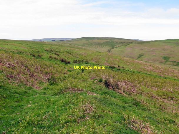 Photo 6"x4" Old boundary dyke, Old Fawdon Hill Fawdon\/NU0315 c2016