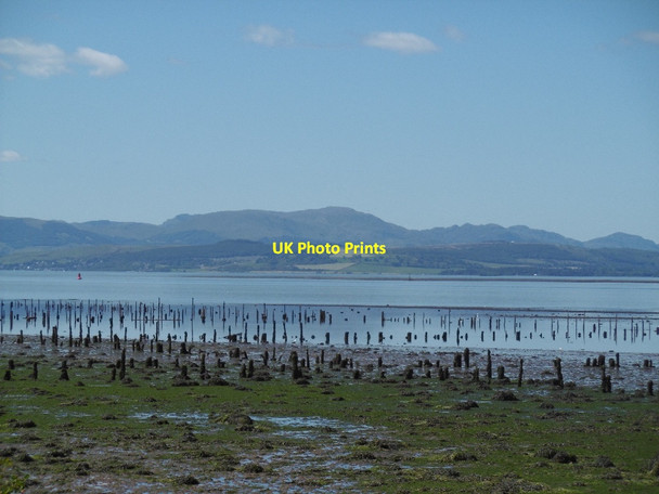 Photo 6"x4" Timber ponds, Port Glasgow Parkhill\/NS3573 c2016