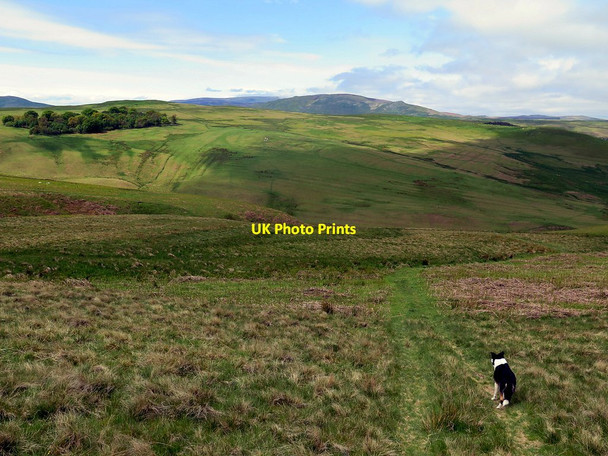 Photo 6"x4" Path to Middle Dean Ingram c2016