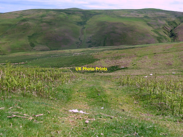 Photo 6"x4" Path east of Ewe Hill Ingram c2016