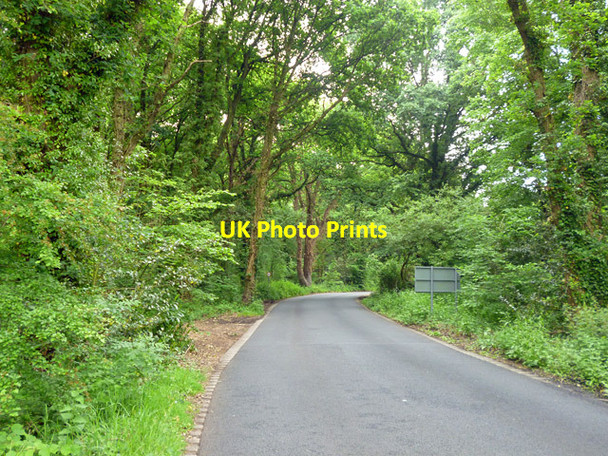 Photo 6"x4" Road, Castle Green Castle Green\/SU9660 c2016