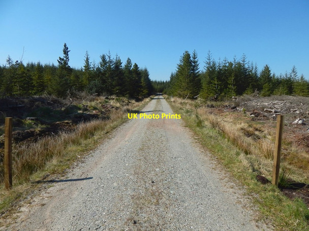 Photo 6"x4" Forestry track Craighat c2016