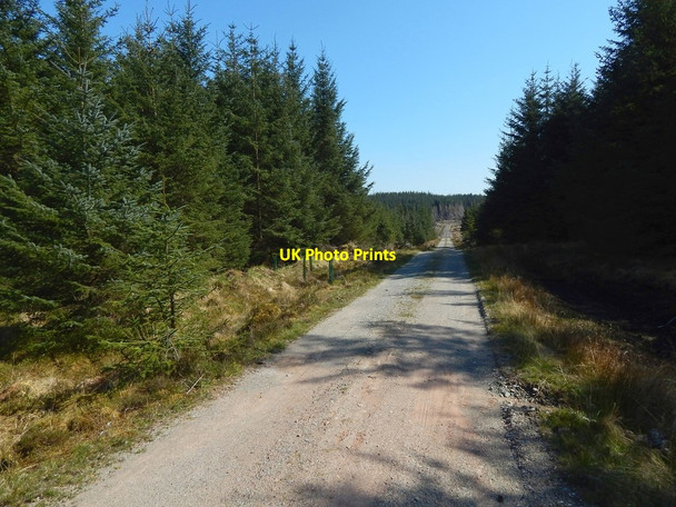 Photo 6"x4" Forestry track Craighat c2016