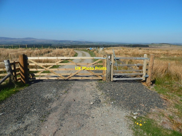 Photo 6"x4" Gate on the John Muir Way Tullycross c2016