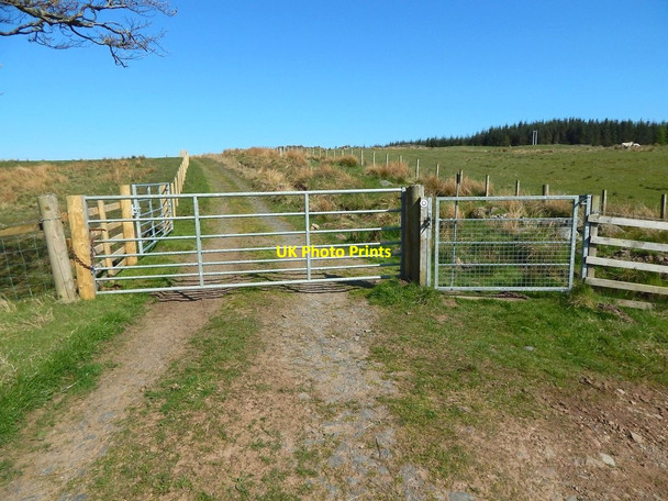 Photo 6"x4" Gate on track Tullycross c2016