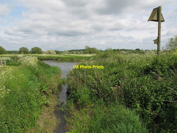 Photo 6"x4" Stream outflow into the Teme Croxall c2016