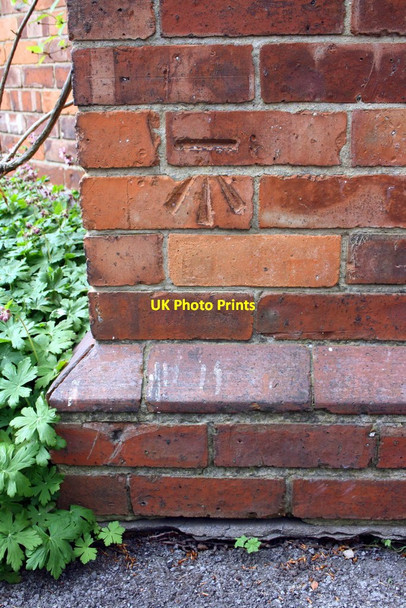 Photo 6"x4" Benchmark on #2 Haig Road Richmond\/NZ1701 c2016
