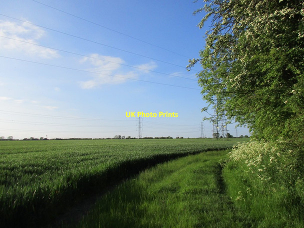 Photo 6"x4" Wheatfield and pylons Bingham\/SK7039 c2016