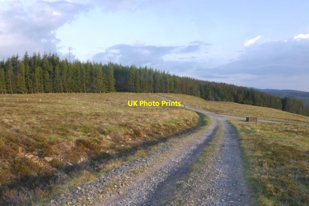 Photo 6"x4" Edendon road Dalnacardoch Wood c2016