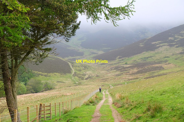 Photo 6"x4" Track to Broughton Hope Broughton\/NT1136 c2016