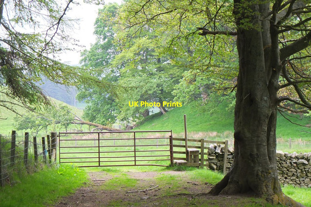 Photo 6"x4" Gate and stile near the Easton Burn Stobo c2016