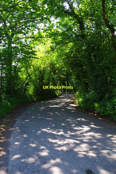 Photo 6"x4" Woodcote Green Lane, near Dodford, Worcs Bournes Green\/SO9174 c2016 P1