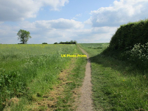 Photo 6"x4" Footpath to Granby Bingham\/SK7039 c2016