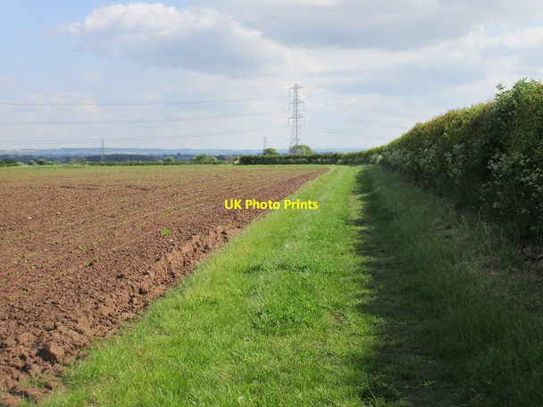 Photo 6"x4" Footpath to Granby Bingham\/SK7039 c2016