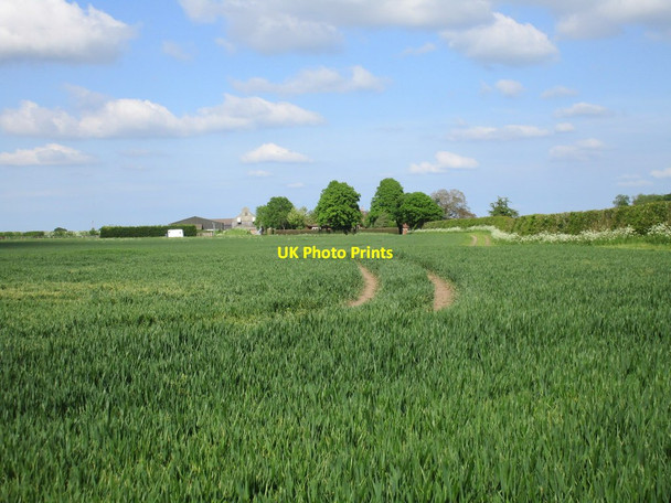 Photo 6"x4" Wheatfield and Starnhill Farm Bingham\/SK7039 c2016