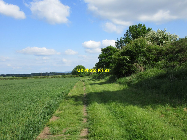Photo 6"x4" Footpath alongside the old railway Bingham\/SK7039 c2016