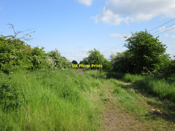 Photo 6"x4" The former railway to Harby Junction Barnstone c2016