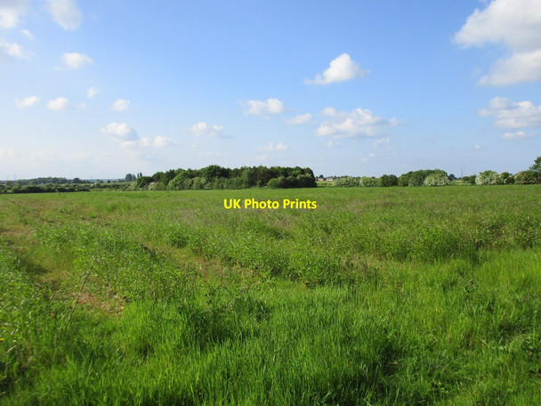 Photo 6"x4" View towards a small area of woodland Barnstone c2016